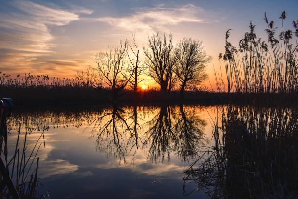 istock Beautiful summer evening landscape. 1480507639