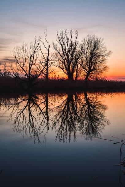 istock Beautiful summer evening landscape. 1480507640