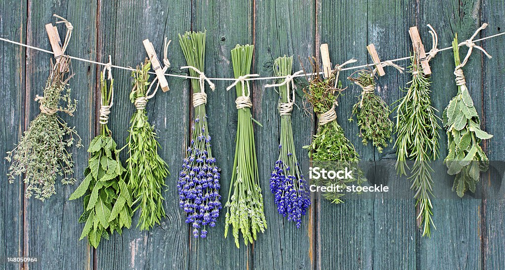 herbs different herb bundles hanging on a line Bundle Stock Photo