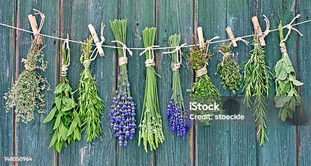 Herbs Stock Photo - Download Image Now - Bundle, Clothespin, Curing Food
