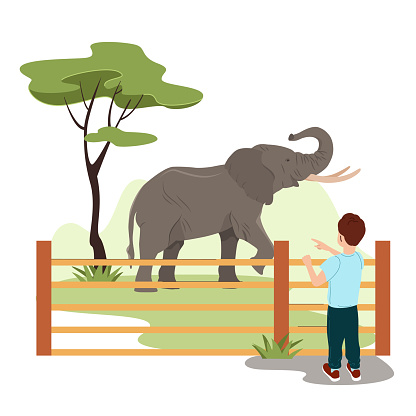 Cute children spending the day visiting Zoo. The little boy looks at the elephant. Kids to learn about the wildlife animalsCartoon vector illustration in flat style.