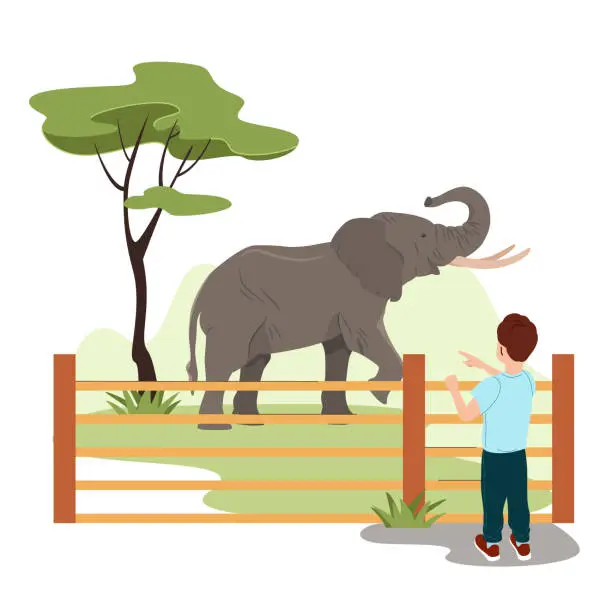 Vector illustration of Cute children spending the day visiting Zoo. The little boy looks at the elephant. Kids to learn about the wildlife animals Cartoon vector illustration in flat style