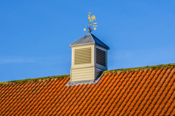 torre e banderuola sul tetto di tegole rosse - roof roof tile rooster weather vane foto e immagini stock