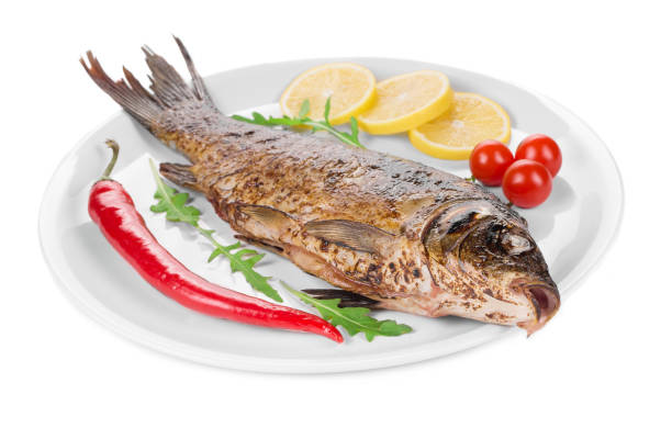 istock Close up of grilled carp steak. 1480514190