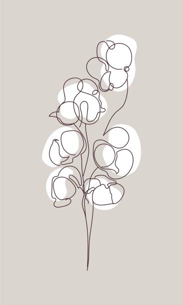 Cotton flower Handrawing floral branch card, poster. One line style, outline. Vector illustration cotton stock illustrations