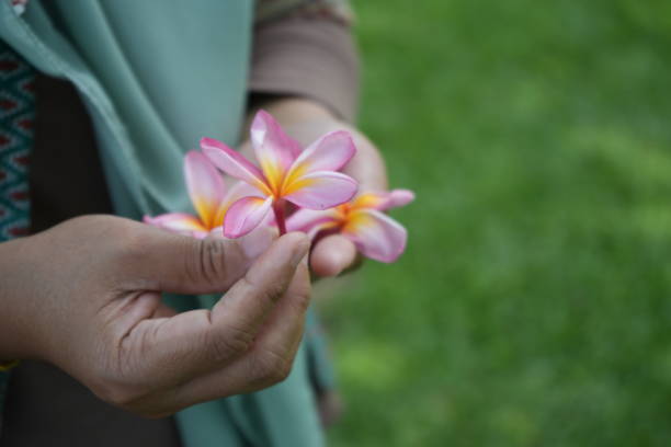 istock Holding flowers while in a yard full of green grass 1480524746