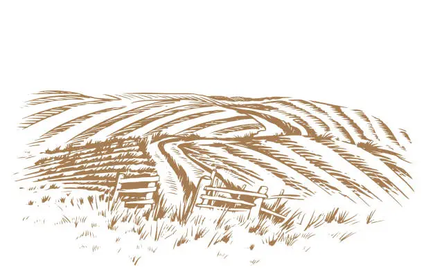 Vector illustration of Crop Field Illustration