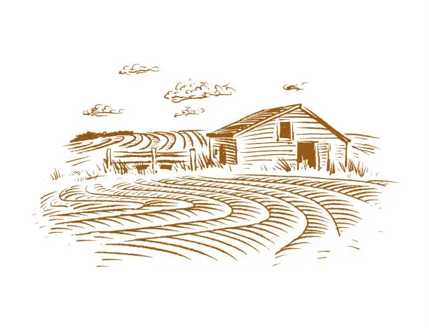 Vector illustration of Barn Farm and Landscape Illustration