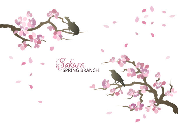 istock Spring baground with sakura branches and birds. Spring poster or greeting card with blooming sakura. 1480527758