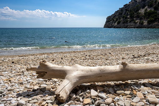 Sandy beach and calm water of Thracian sea (Mediterranean). Rock covered by vegetation.  Pile of collected driftwoood. Blue sky with white clouds. Livadi beach, island Thassos (Tassos), Greece.