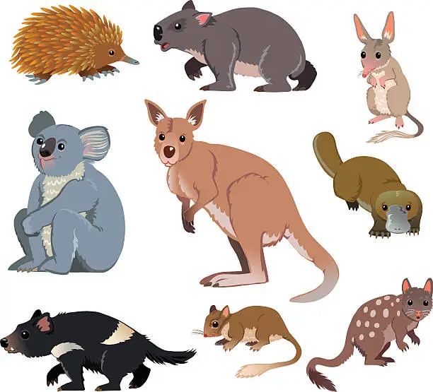 Vector illustration of Australian Wild Animals - Cartoon