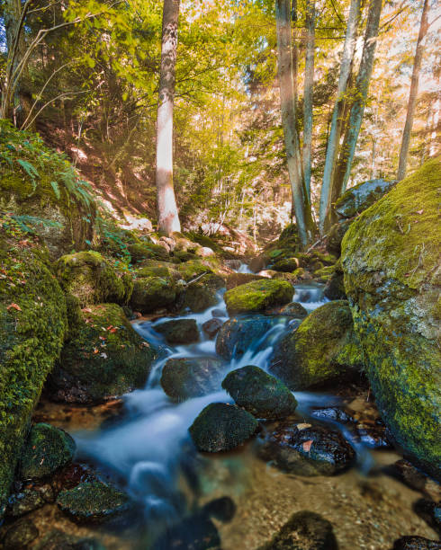 istock Ysperklamm: A hidden gem of Austria 1480543563