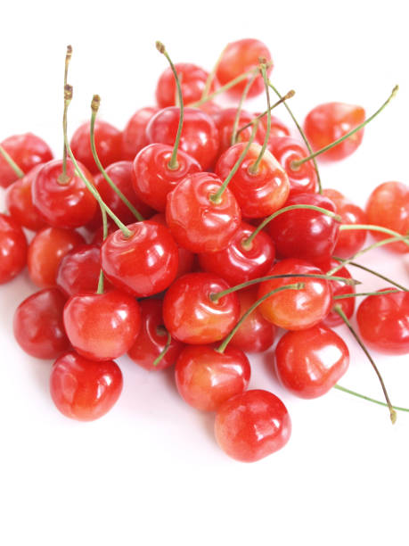 istock Fresh cherries from Yamagata Prefecture. 1480547020