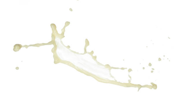 istock Tofu Soybean soymilk pour fall down in line shape form. Soybean milk from tofu spill splash in droplet as paint color. White background isolated high speed shutter freeze motion 1480551200
