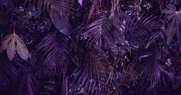 istock Tropical green leaves background 1480555067
