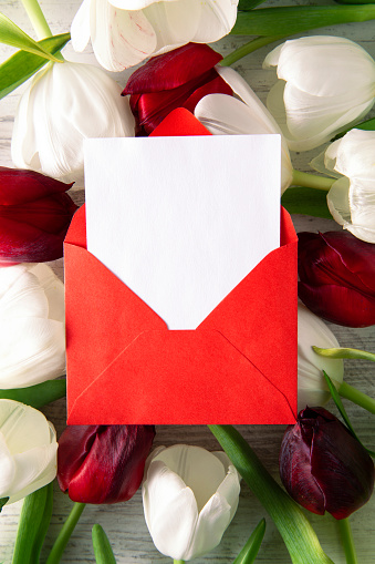 Mother’s day concept with tulips and envelope with empty greeting card