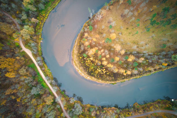 istock Directly above full frame shot of forest in autumn 1480557220