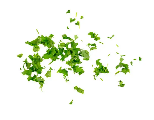 Photo of Chopped cilantro leaves as green seasoning flying, falling isolated on white background, clipping path