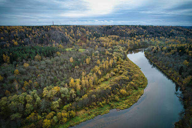 istock Directly above full frame shot of forest in autumn 1480557396