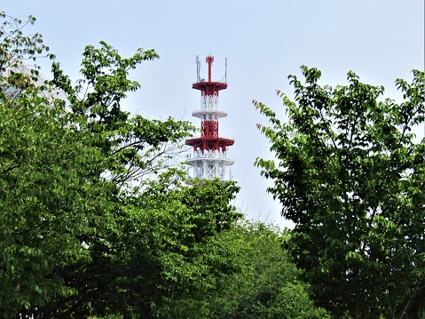 Located at the border of a large forest, in a clearing. The 4G mast is used the provide high-speed wireless telecommunications for a semi rural area.