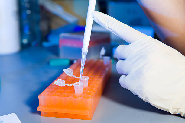 Scientist pouring liquid into test tube stock photo