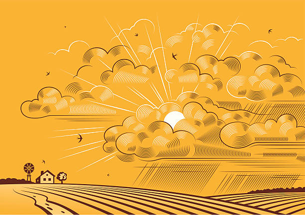 illustrazioni stock, clip art, cartoni animati e icone di tendenza di nuvole su campi - horizon over land tree sunset hill