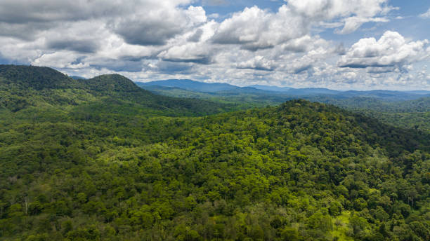 istock Mountain peaks covered with forest from above. Borneo, Malaysia. 1480564323