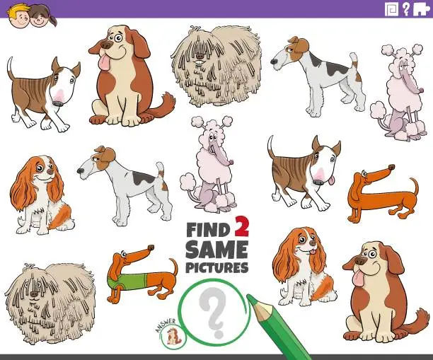 Vector illustration of find two same cartoon purebred dogs educational activity