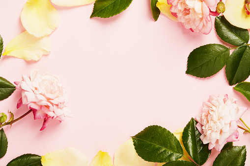 Flowers composition. Frame made by roses, branches and petals on pink background. Flat lay top view with copy space in the center