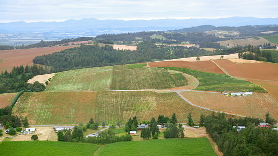 Aerial view of agricultural field on hills in countryside of Oregon, USA.
