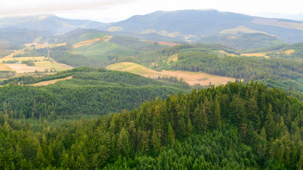 Scenic view of mountains
