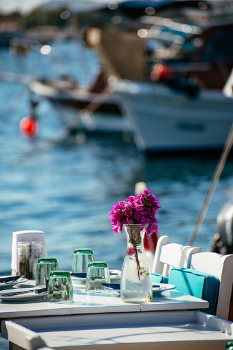 Flowers of Beach Restaurants in Bodrum Gümüşlük