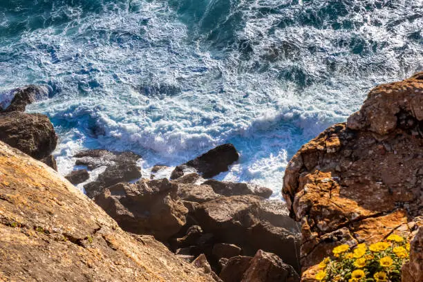 Waves crash against a rugged shoreline with dangerous force, creating hazardous swirls and flows in the waters below, with flowers adding color to the life threatening scenery seen from a high cliff.