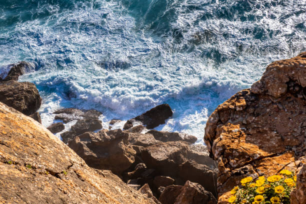 zapierający dech w piersiach widok z góry ujawnia zagrażającą życiu moc oceanu atlantyckiego, gdy fale gwałtownie rozbijają się o chropowate skały, tworząc niebezpieczne prądy na wybrzeżu algarve w portugalii. - rugged coastline zdjęcia i obrazy z banku zdjęć