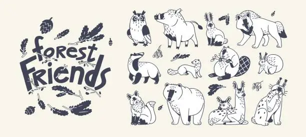 Vector illustration of Cute forest animals, outlined set. Contoured wild wood beasts, childish characters. Black and white fox, owl, boar, wolf, lynx, deer, beaver and hare. Kids fauna. Isolated flat vector illustrations