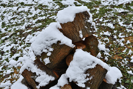 Traditional preparation of wood for heating for the winter in the village