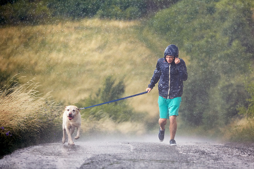 Man with dog on leash running together on wet rural road in heavy rain. Pet owner and his labrador retriver in bad weather.