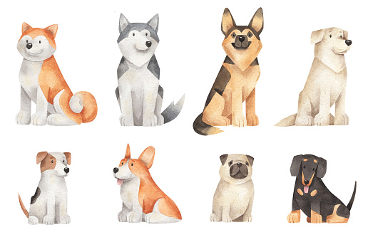 istock illustrations of different dogs 1480582845
