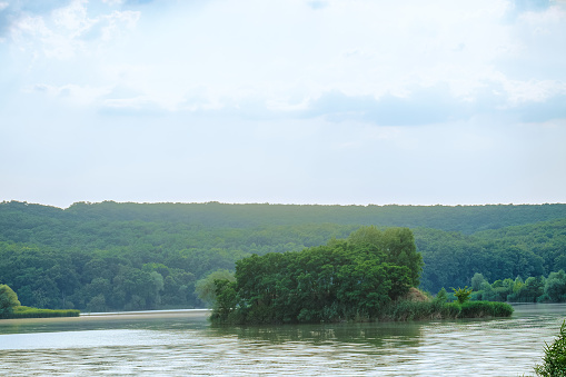 Small green island with trees on the Seversky Donets river. Densely treed banks of the river.