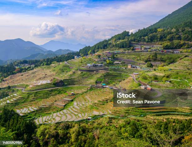 Japanese Rice Terraces In Kumano Japan Stock Photo - Download Image Now - Kumano - Mie, Mountain Ridge, Agricultural Field