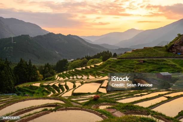 Japanese Rice Terraces In Kumano Japan At Dusk Stock Photo - Download Image Now - Agricultural Field, Agriculture, Asia
