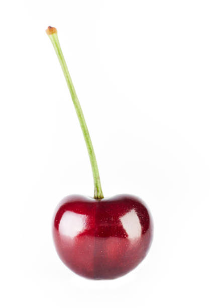 Cherries background. Isolated cherries. Cherry fruits isolated on white background with clipping path. Sweet cherry isolated on white