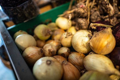 Close-up of fresh onion at market