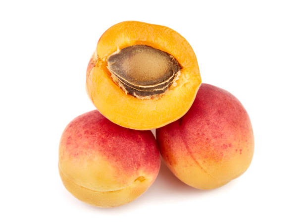 istock Isolated apricots. Fresh apricot fruit isolated on white background. Tropical abstract background. Fresh fruits. Place for your text. 1480598177