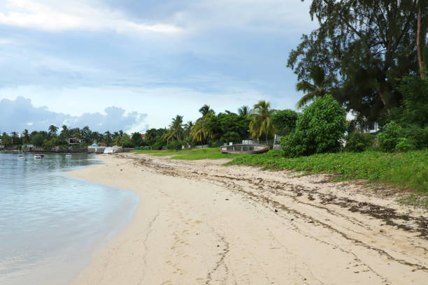 istock Albion Public Beach, Mauritius, Indian Ocean, Africa 1480605682