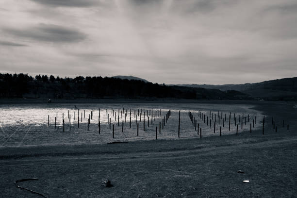 Dry lake monochromatic photo , Tbilisi,  Georgia