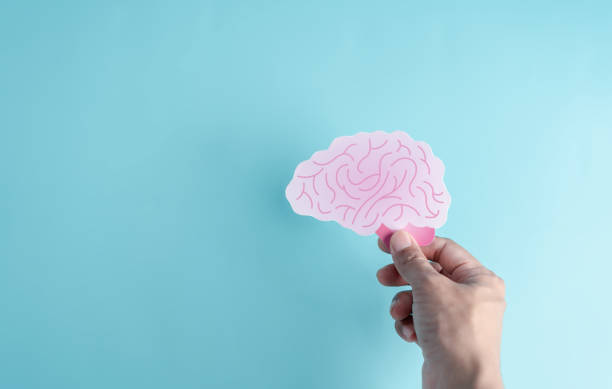 istock Hand holding human brain paper cut, idea creative intelligence thinking or Awareness of Alzheimer, Parkinson's disease, dementia, stroke, seizure or mental health. Neurology and Psychology care. 1480615940