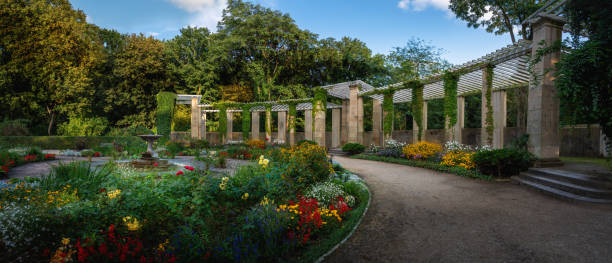 istock Panoramic view of Rose Garden (Rosengarten) at Tiergarten park - Berlin, Germany 1480621071