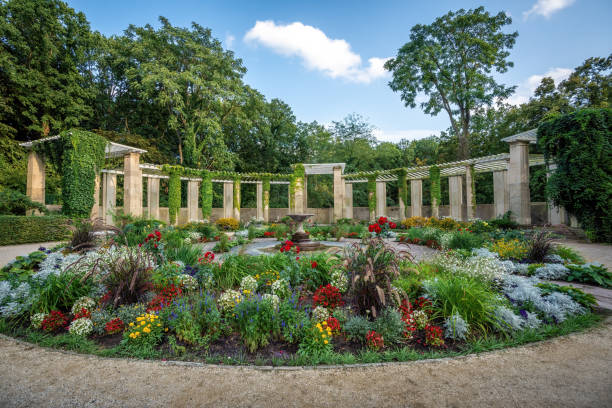 Large flower garden in summer  