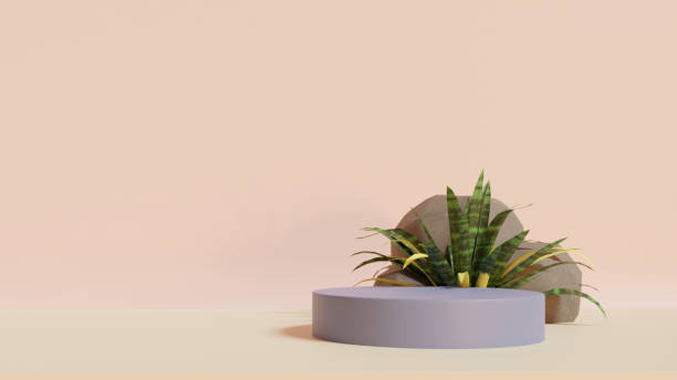 istock 3d product display podium scene with the geometric platform. 3d cylinder stand podium. Commercial background. Geometric forms in modern minimal design. 3d rendering. 1480624656